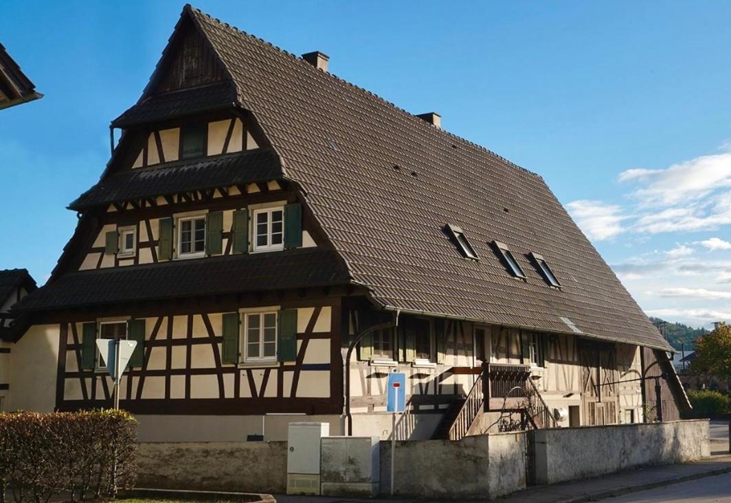 Ferienwohnung Mit Schlossblick Bei Offenburg Ortenberg  Kültér fotó