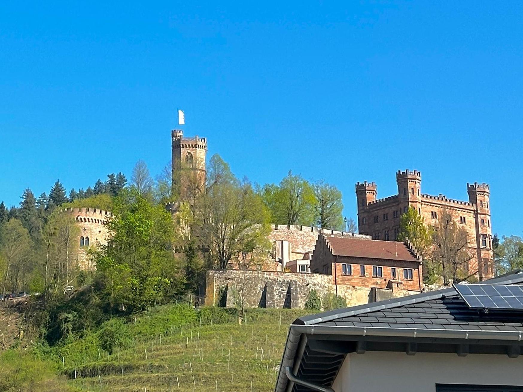 Ferienwohnung Mit Schlossblick Bei Offenburg Ortenberg  Kültér fotó